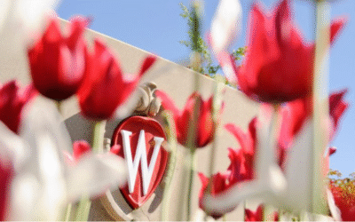  King-Morgridge Scholars Program (University of Wisconsin-Madison, USA)