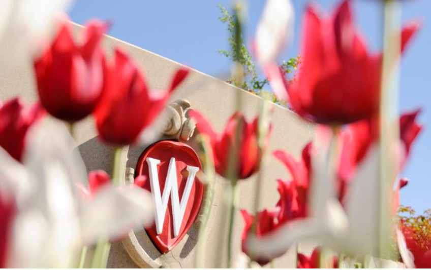  King-Morgridge Scholars Program (University of Wisconsin-Madison, USA)