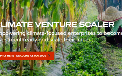 Climate Venture Scaler (UNDP) 2026