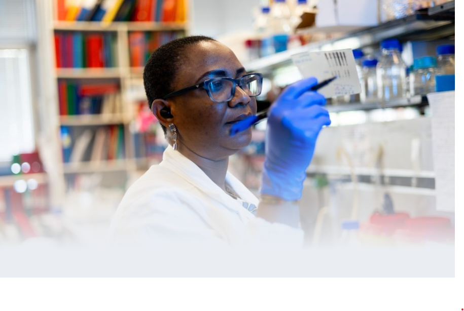 ICGEB Arturo Falaschi PhD Fellowships 2026