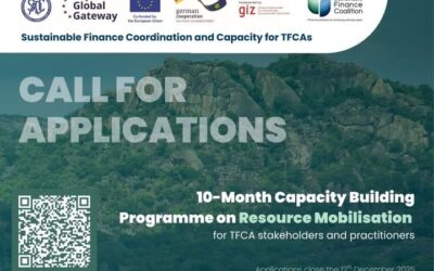 Resource Mobilisation Capacity Building Programme (SADC)