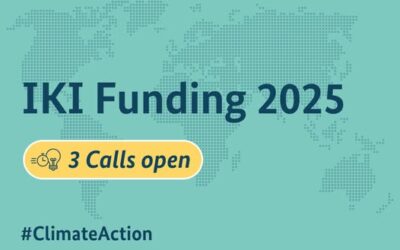 International Climate Initiative (IKI) Funding Opportunities