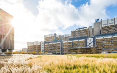 LUMC GISELA THIER RESEARCH FELLOWSHIP 2026